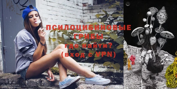 мдпв Пестово