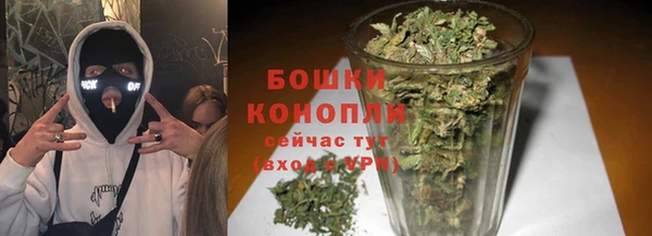 мдпв Пестово