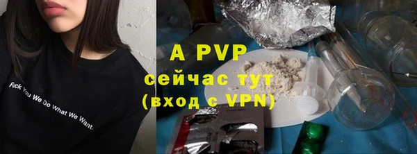 мдпв Пестово