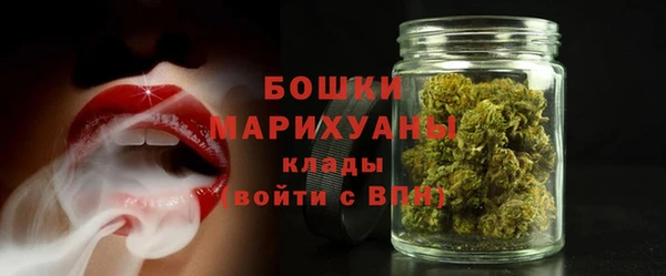 мдпв Пестово