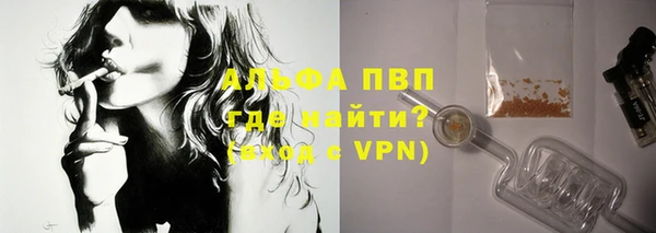 эйфоретик Пересвет