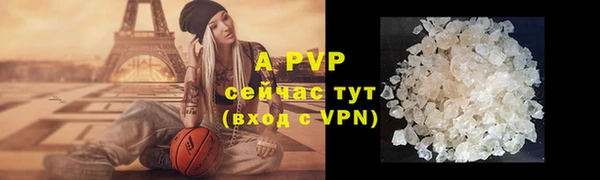 эйфоретик Пересвет