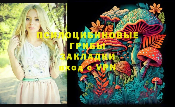 эйфоретик Пересвет