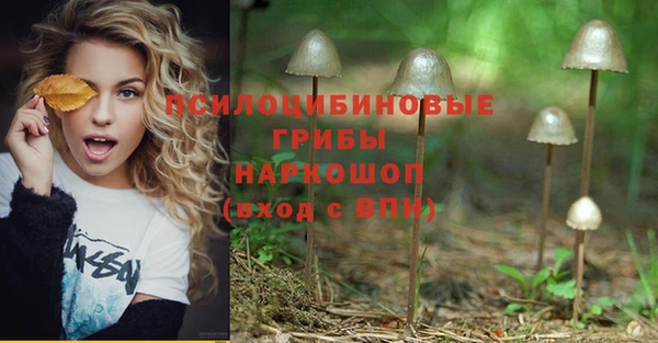 эйфоретик Пересвет