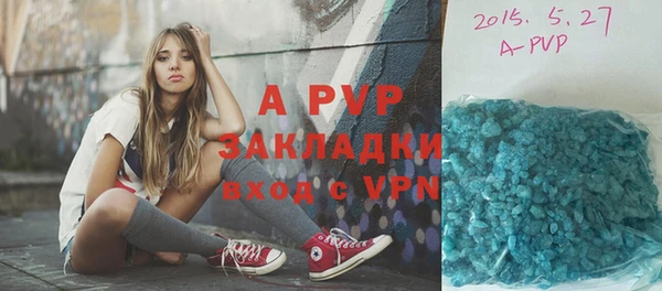 мдпв Пестово