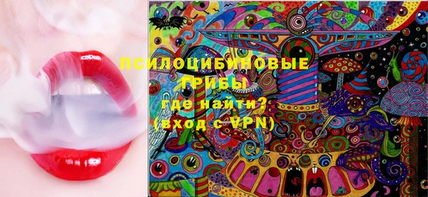 эйфоретик Пересвет
