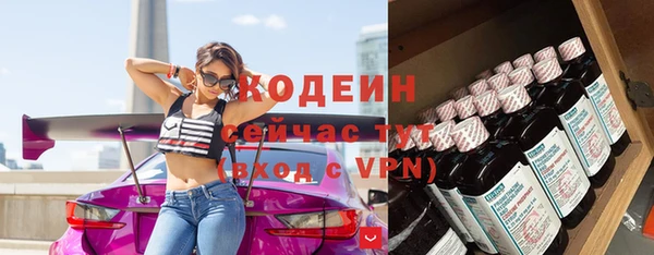 эйфоретик Пересвет